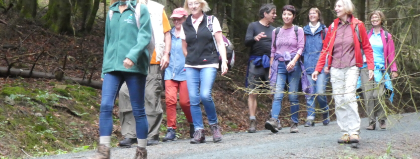Heilklima-Wanderung mit Carmen Brandes