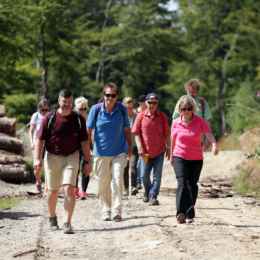 Heilklima-Wanderung im Heilklima-Park Hochtaunus