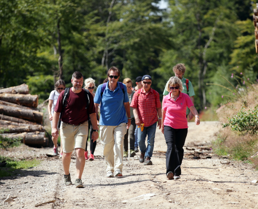 Heilklima-Wanderung im Heilklima-Park Hochtaunus