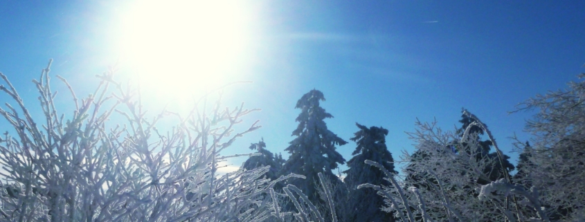 Kältereize im Heilklima-Park im Winter