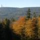 Große Herbstwanderung im Heilklima-Park Hochtaunus