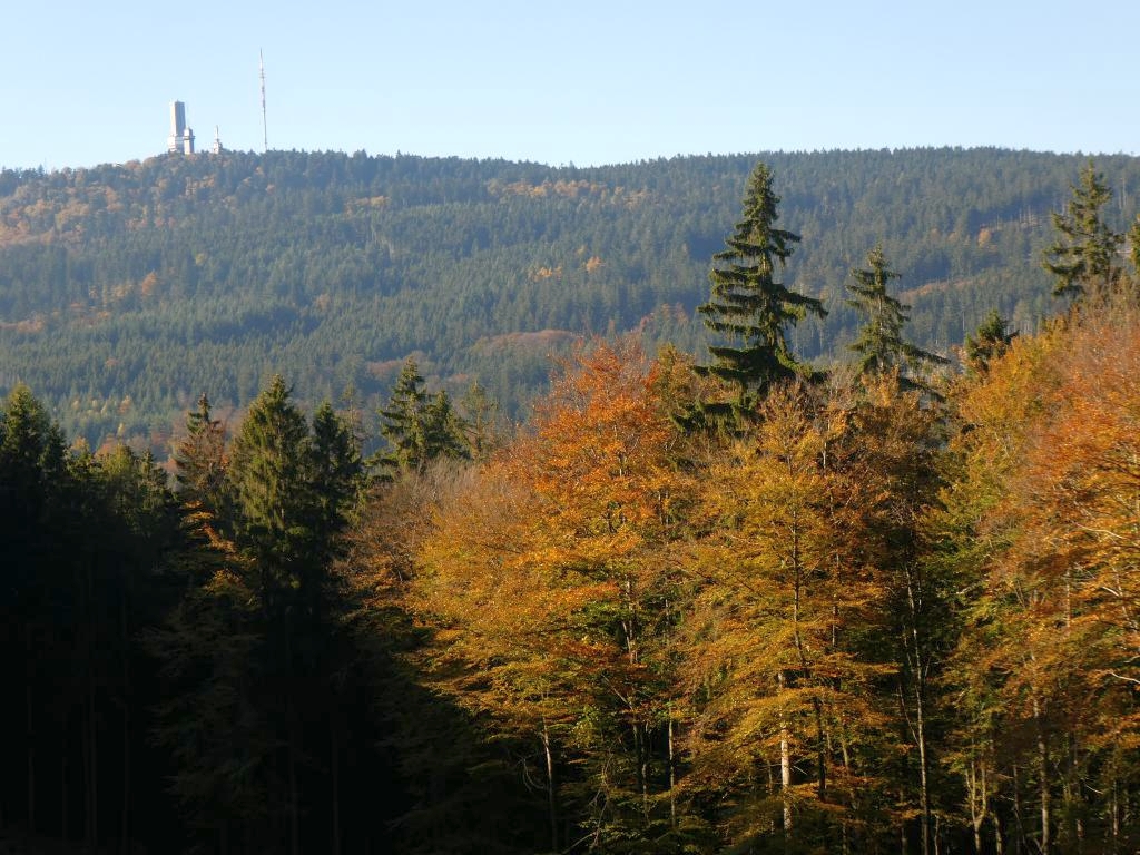 Große Herbstwanderung im Heilklima-Park Hochtaunus