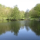 Weiher im Woogtal