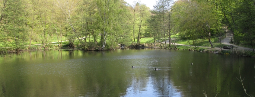Weiher im Woogtal