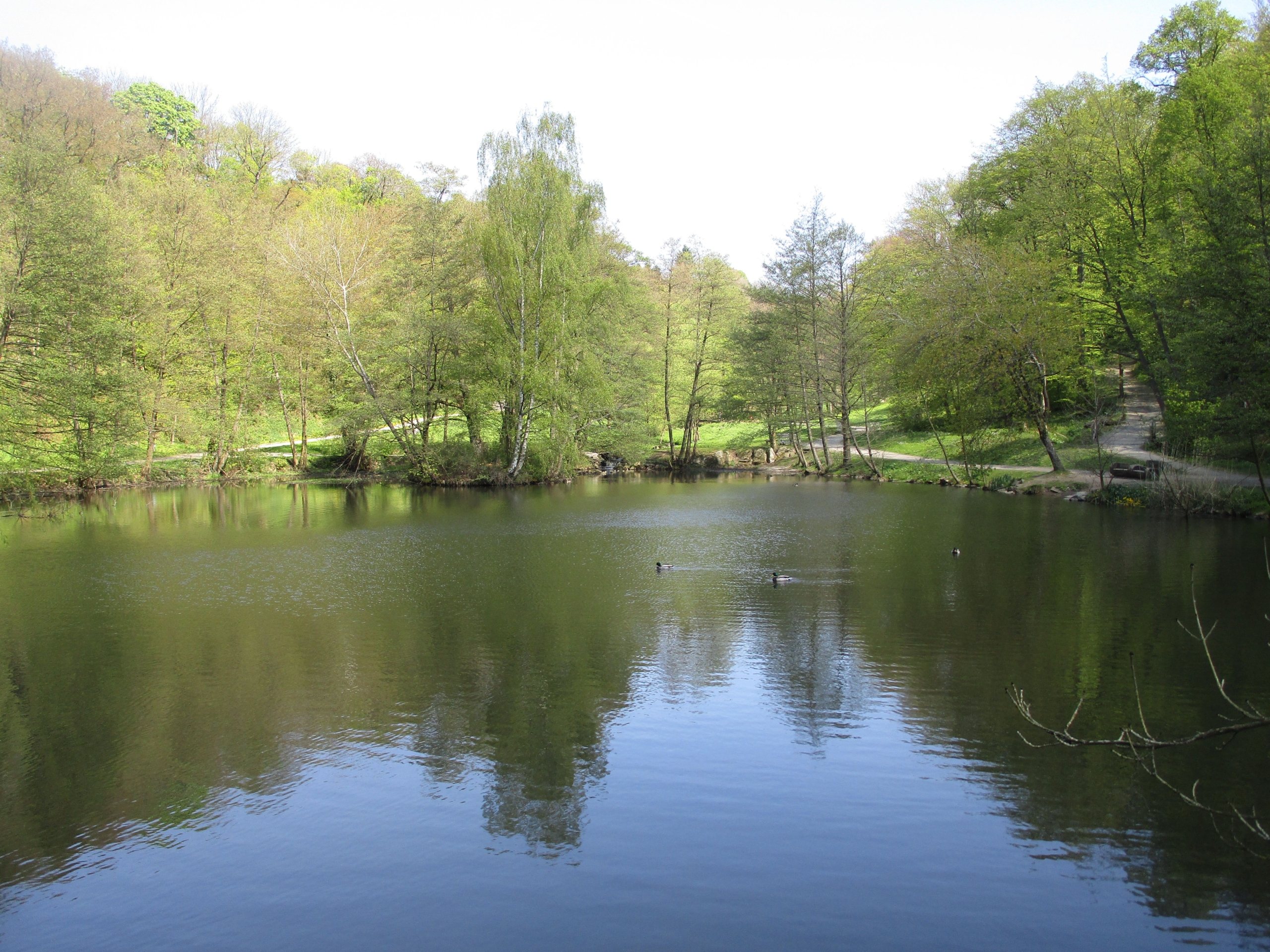 Weiher im Woogtal