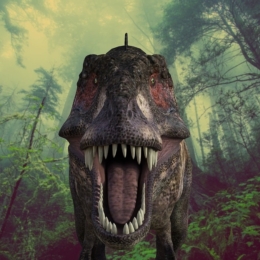 Dinosaurier