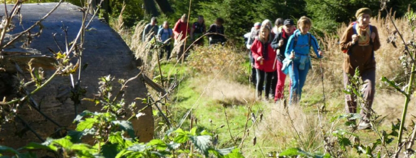 Große Herbstwanderung