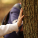 Zwischen Mensch und Baum gibt es eine Eine besondere Verbindung